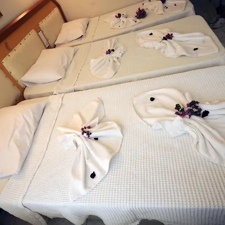 Hotel Swans 1 2*