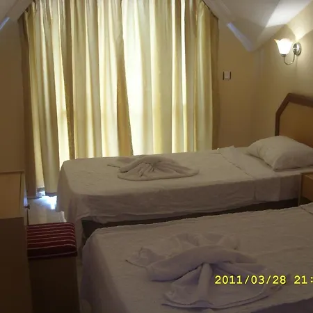 Hotel Swans 1 2*