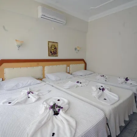 Hotel Swans 1 2*
